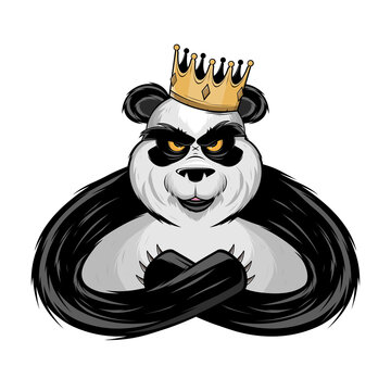 angry panda bear king with crown cartoon illustration
