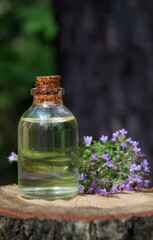 Obraz na płótnie Canvas Thyme aroma oil bio organic