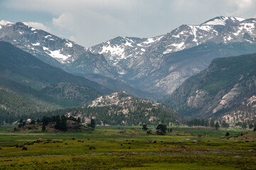 Fototapeta na wymiar View of a mountain valley with a meadow in Rocky Mountain National Park, Colorado. The mountain peaks have snow and the meadow has trees and other greenery.