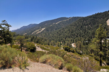 Fototapeta na wymiar View over Angel Forest