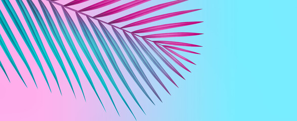 Colorful summer background with copy space. Bright yellow 3d illustration of tropical palm branch. © Oleksandra