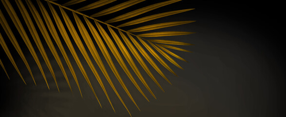 Luxury summer background with copy space. 3d illustration of tropical palm branch.