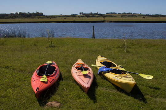 kayak on the river
