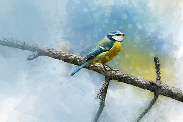 Little blue tit resting on a branch. Watercolor Digital Painting vintage effect. Bird illustration.