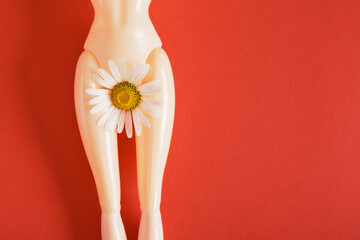 doll with chamomile flower on hips, feminism art, women's health and gnecology concept