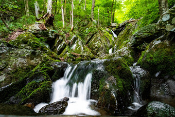 Scenic Dark Hollow Falls at Shenandoah National park in summer