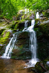 Obraz na płótnie Canvas Scenic Dark Hollow Falls at Shenandoah National park in summer