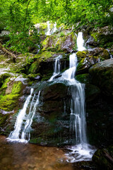 Fototapeta na wymiar Scenic Dark Hollow Falls at Shenandoah National park in summer