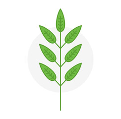 Vector green leaves. Isolated vector illustration