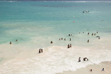 seagulls on the beach