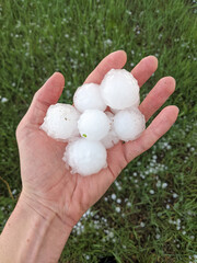 A person&rsquo;s hand holding many large hailstones ranging from half dollar to golf ball sized after a severe storm has passed. Hailstones can be seen scattered in the grass in the background.