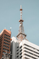 Urban Paulista Avenue São Paulo City Brazil