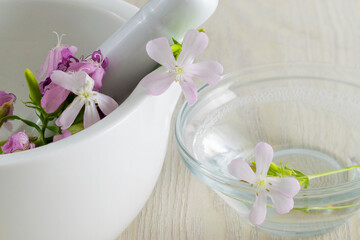 Saponaria Soapwort essence oil with saponina in a bowl with a flower next to a mortar with a pestle smashing some flowers