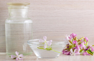 Obraz na płótnie Canvas Saponaria Soapwort essence oil shampoo with saponina in a bowl with a flower near a medicine jar with the same shampoo and few flowers over a wooden white table