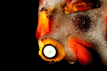 Frozen texture of palm oil fruit