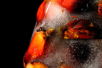 Frozen texture of palm oil fruit