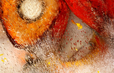 Frozen texture of palm oil fruit
