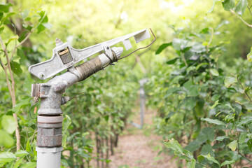 Selective focus of Big sprinkler head for agriculture in farming  with sunlight