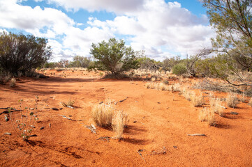 The amazing colours and textures of the Australian desert near Roxby Downs, South Australia.