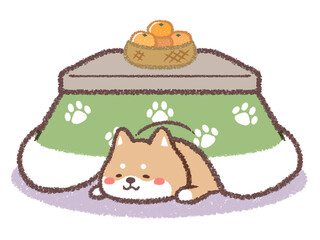 柴犬とコタツ