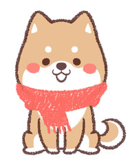 柴犬とマフラー