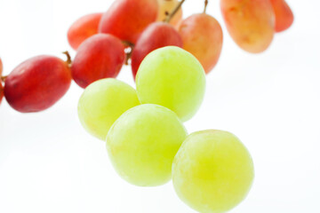 種なしブドウ　　イメージ