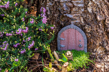 Little fairy tale door made from clay in a tree trunk with purple flowers