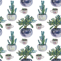 Seamless pattern watercolor green plant succulent money tree, cactus, grow sprout in pot on white. Hand-drawn botanical art background for florist, wallpaper, textile, sketchbook, wrapping