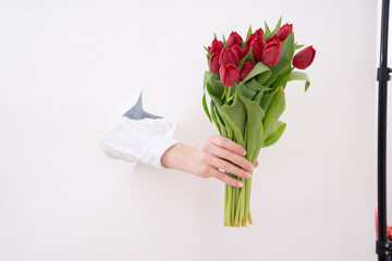 Hand of the woman is holding bouquet of tulips inserted through a hole in torn white paper. Copy space.