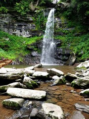 Scenic Forest Waterfall in Summer