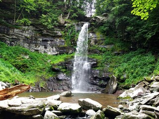 Scenic Forest Waterfall in Summer
