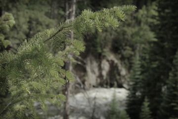 Fishcreek Falls Serenity