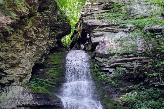 Scenic Forest Waterfall in Summer