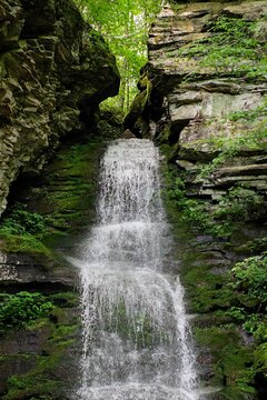 Scenic Forest Waterfall in Summer