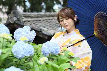 浴衣を着た日本人女性　アジサイの庭を散策