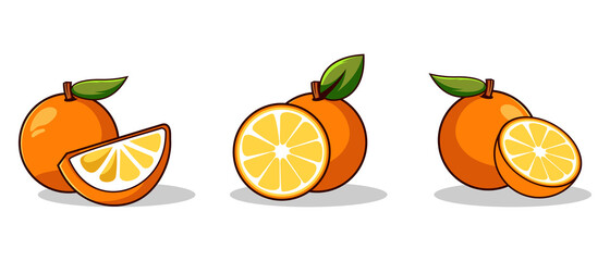 orange fruit set element vector. 2D illustration element editable.