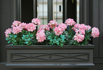 Fototapeta na wymiar Pink artificial Hydrangea flower blooming. Decoration in summer garden