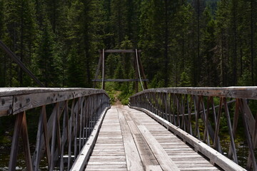 Fototapeta premium bridge in the forest