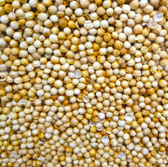 Close up photo of coriander grain on the fresh food ingredient market