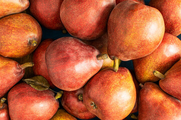 Top view of a group of Red Anjou Pears