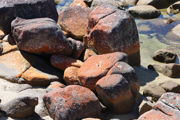 Lichen covered rocks, Bay of Fires, Binalong Bay, Tasmania, Australia.