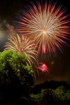 Night sky filled with fireworks over the tree tops in a colorful celebration