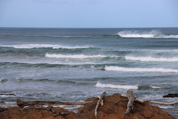 Fototapeta na wymiar Rocks, driftwood and breaking surf at the 