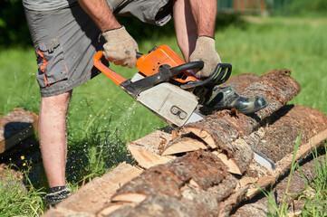 sawing timber with a chainsaw on a sunny day in summer