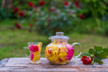 Beautiful and fragrant tea from yellow, pink and red petals roses in glass teapot and mug in the summer garden on wooden table. Close up
