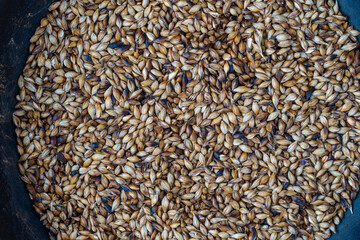 Roasted barley grains in a cast iron skillet on table, top view. Ingredient for beer or kvass - obrazy, fototapety, plakaty