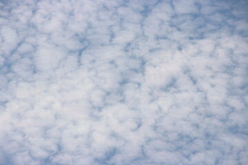 Obraz premium Cirrocumulus clouds, Melbourne, Victoria, Australia.