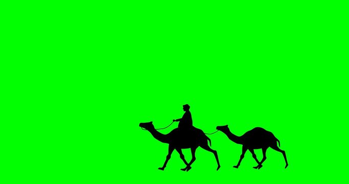 Camels caravan walkind 2d animation green screen