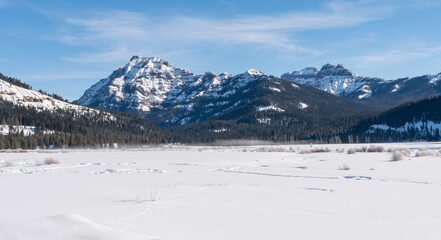 Fototapeta na wymiar winter view of abiathar peak from near pebble creek in the northeastern section of yellowstone national park