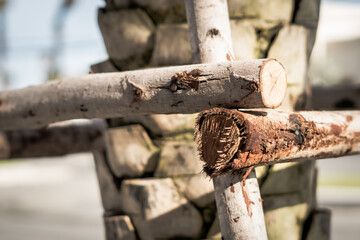 Wood fence corner. Block of Rows, thin tree trunk with scratches serifs. Hard wood crack line outer layer of deciduous bark tissue surface stem. Texture light abstract background. More tone in stock